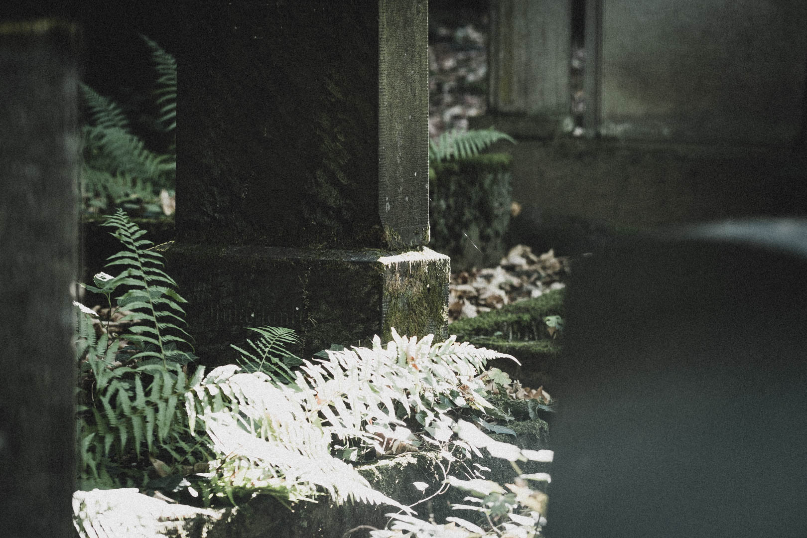 Limburg an der Lahn, Jüdischer Friedhof